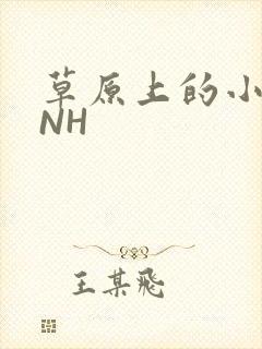 草原上的小公主NH