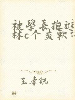 被学长抱进小树林c个爽软件