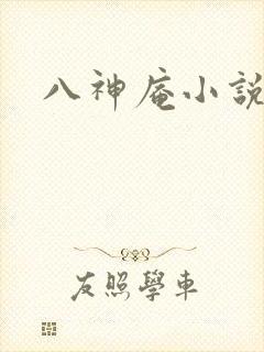 八神庵小说下载