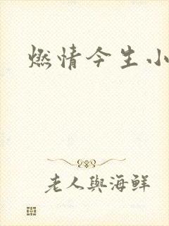 燃情今生小说