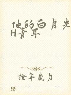 他的白月光HVH青耳