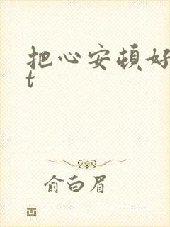 把心安顿好txt