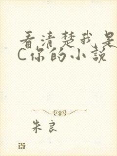 看清楚我是怎么C你的小说