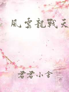 风云龙战天下