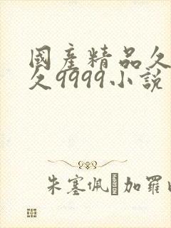 国产精品久久久久9999小说