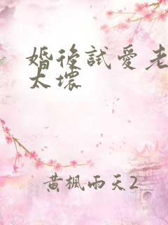 婚后试爱老公别太坏