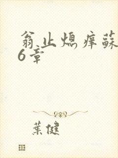 翁止熄痒苏钥第6章