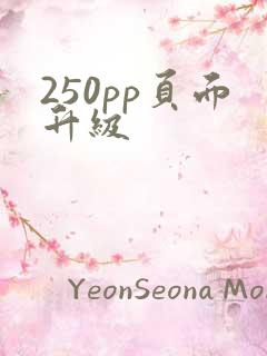 250pp页面升级
