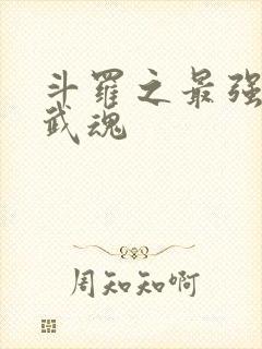 斗罗之最强治疗武魂