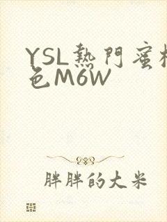 YSL热门蜜桃色M6W