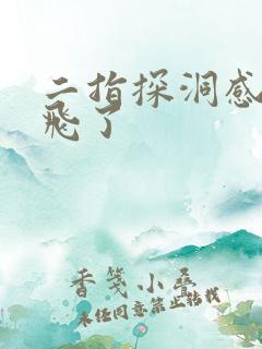 二指探洞感觉要飞了