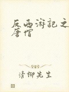 反西游记之混混唐僧