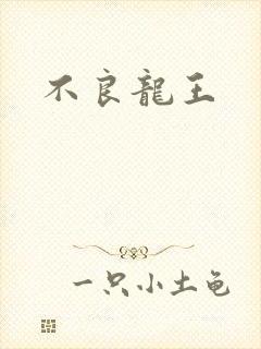 不良龙王