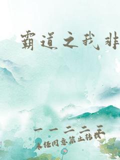 霸道之我非英雄