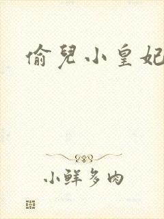 偷儿小皇妃