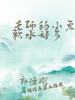 老师的小兔子好软水好多