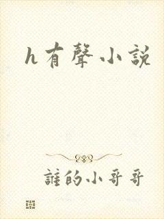 h有声小说