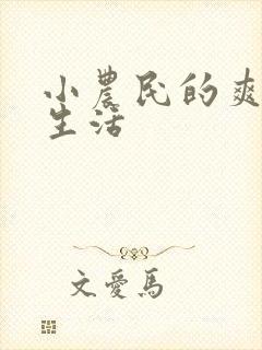 小农民的爽歪歪生活