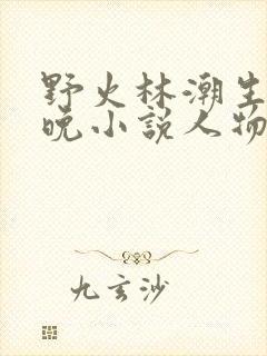 野火林潮生林晚晚小说人物野火