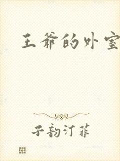 王爷的外室