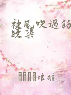 被风吹过的夏天晓渠