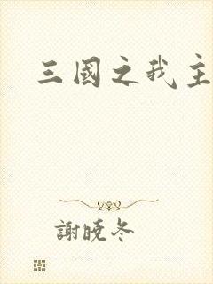 三国之我主沉浮