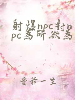 射爆npc对npc为所欲为的世界