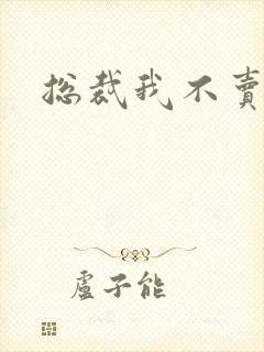 总裁我不卖宝宝