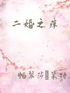 二婚之痒