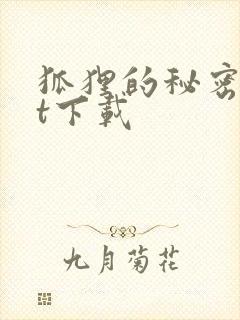 狐狸的秘密txt下载