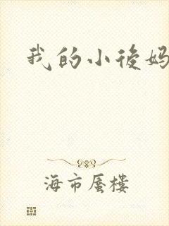 我的小后妈小说