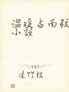 温暖占南弦尹衿小说