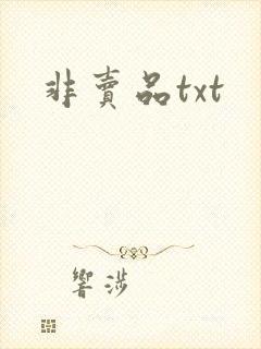 非卖品txt
