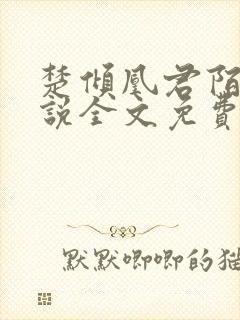 楚倾凰君陌尘小说全文免费阅读