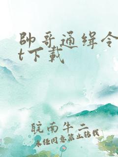 帅哥通缉令txt下载