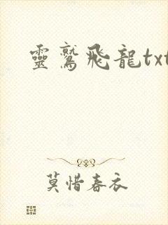 灵鹫飞龙txt