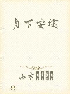 月下安途