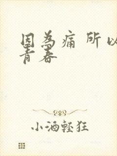 因为痛 所以叫青春