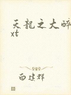 天龙之大醉侠txt