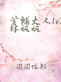 首辅大人1v2林婉婉