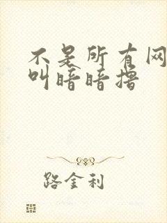 不是所有网站都叫暗暗撸