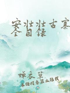 安壮壮古寨情缘全目录