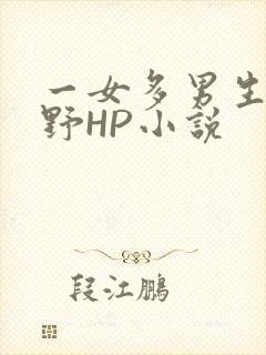 一女多男生活狂野HP小说