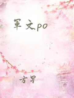 军文po