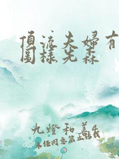 顶流夫妇有点甜图样先森