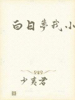 白日梦我小说
