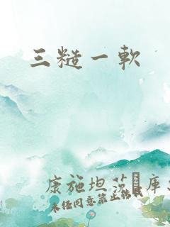 三糙一软