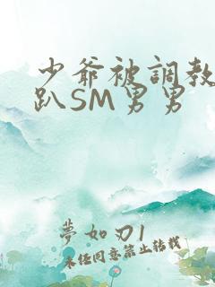 少爷被调教室跪趴SM男男