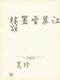 林墨雪慕江行小说