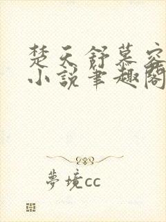 楚天舒慕容江月小说笔趣阁